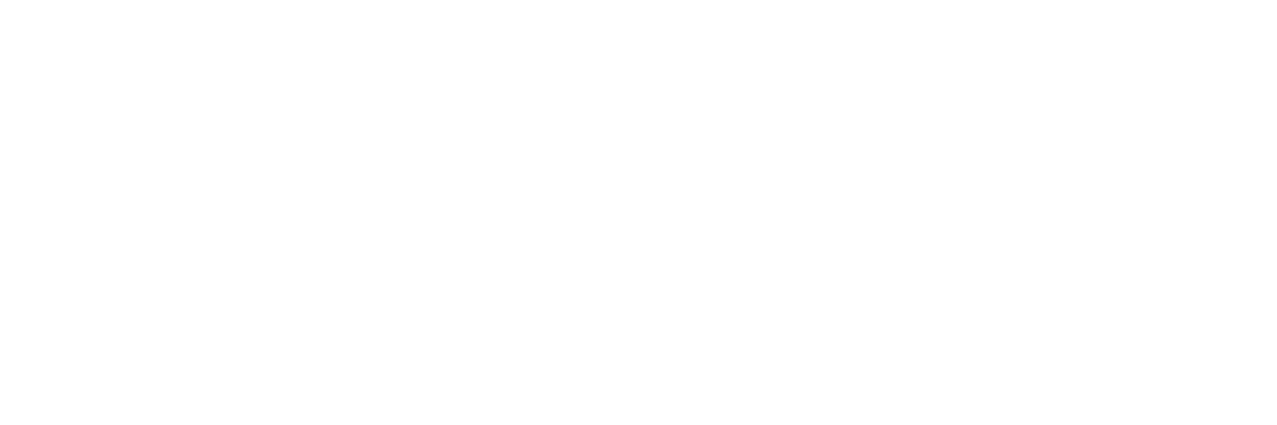 logo color 2
