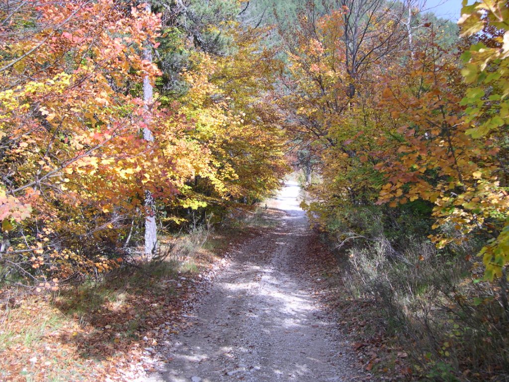 Balades en Automne | Allons, village des Alpes de Haute Provence