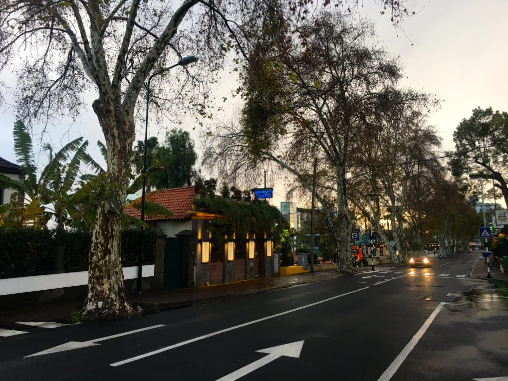 Tokos i Funchal ser gjerne ikke noe særlig ut, men her må du alltid bestille bord. Gjør det. 