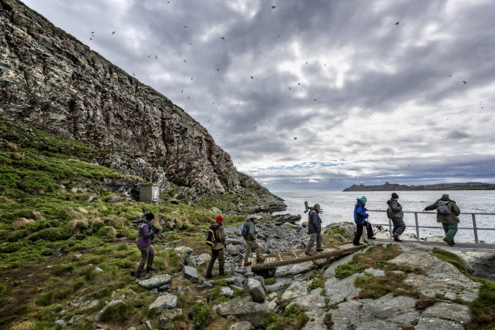 Det lille bygget i bakgrunnen er et toalett. Fasilitetene er i orden på Hornøya for fuglekikkerne. 