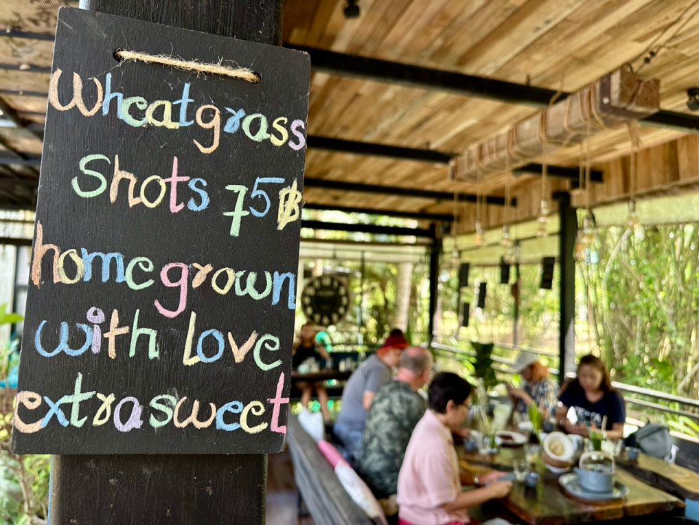 Koh Phangan økorestaurant som dyrker alt selv.