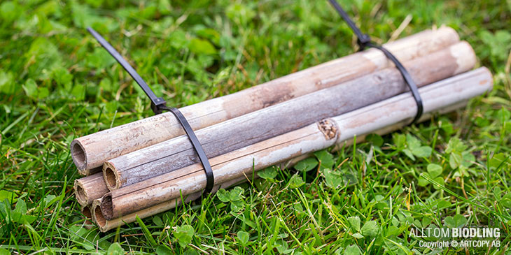 Bibatteri av bambu