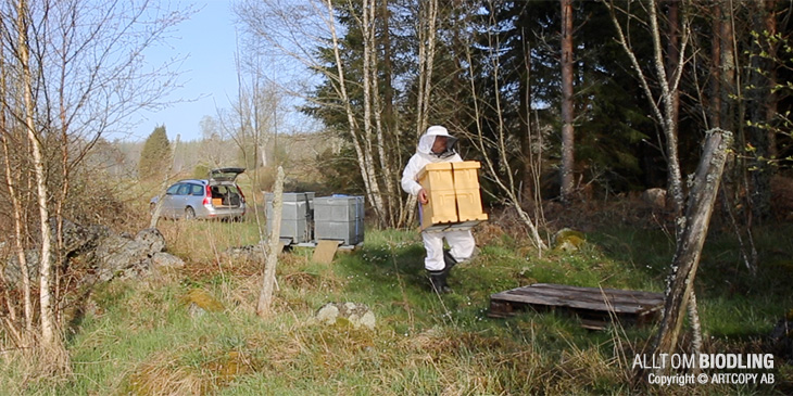 Biodling - Flytta bisamhälle / bikupa