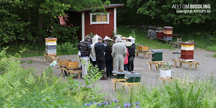 Biodling - Kurs, Utbildning, Biodlarkurs, Biodlingskurs,Biodlarskola