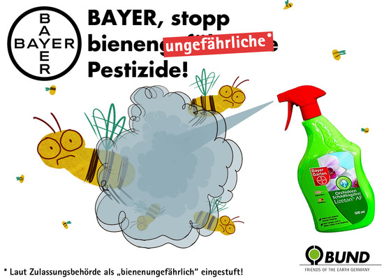 Bund-Bayer