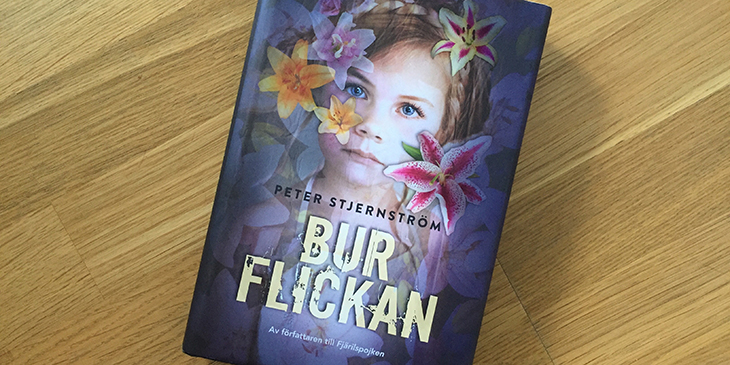 Burflickan - Spänningsroman med biodlingstema