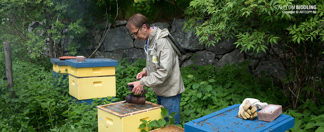 Fågelsångens Bigårdar - Ekologisk Biodling