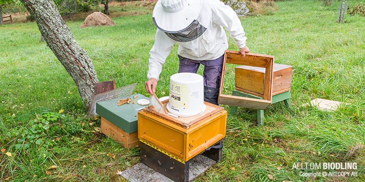 Otkinchilar unga tegishiga imkon bering Otkinchilar unga tegishiga imkon bering