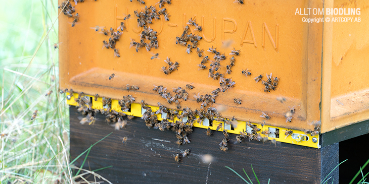 Er-xotin dostlarini onlayn porno tomosha qilishni taklif qilishdi. Porno va qizlar jinsiy aloqa