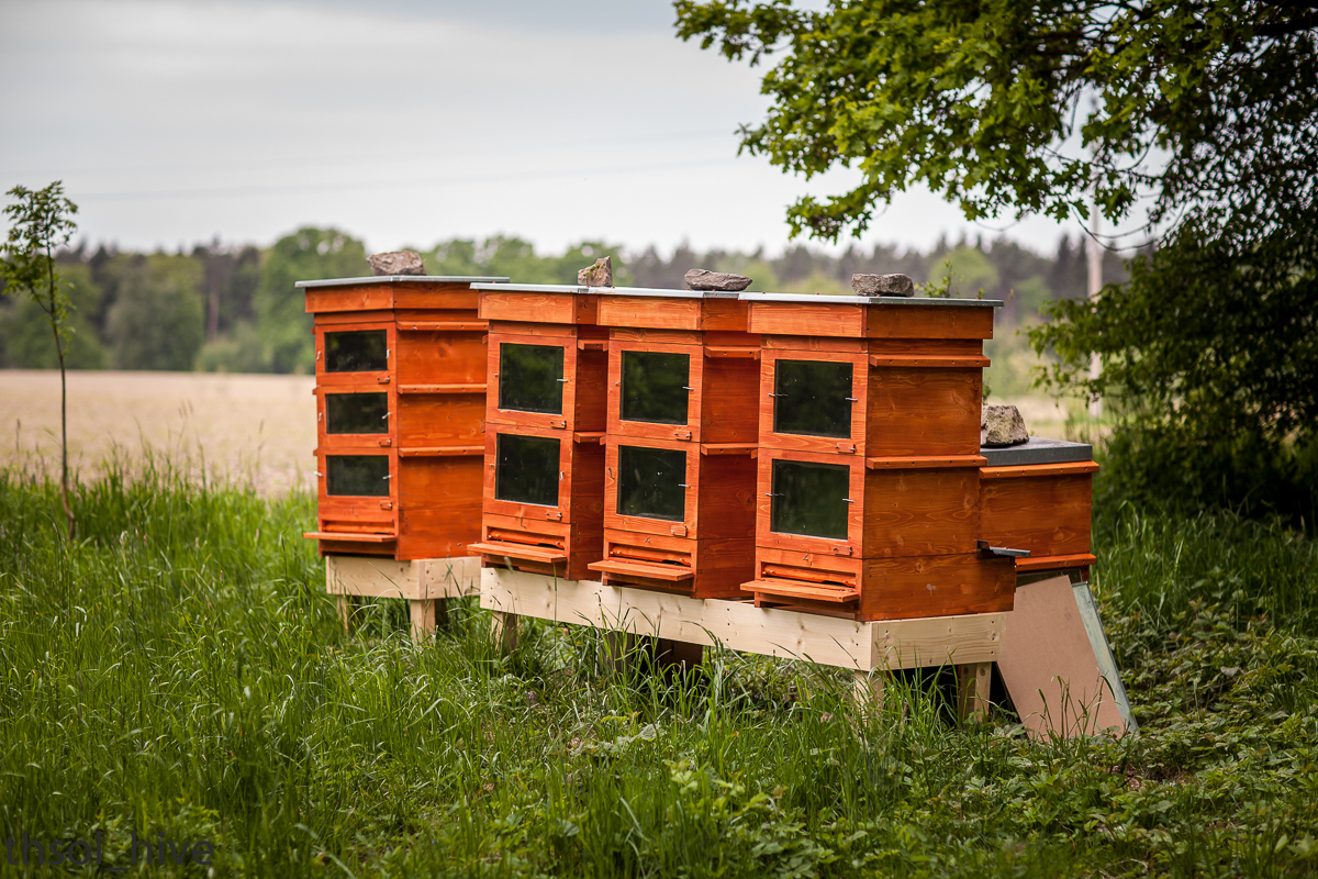 Thermosolar hive