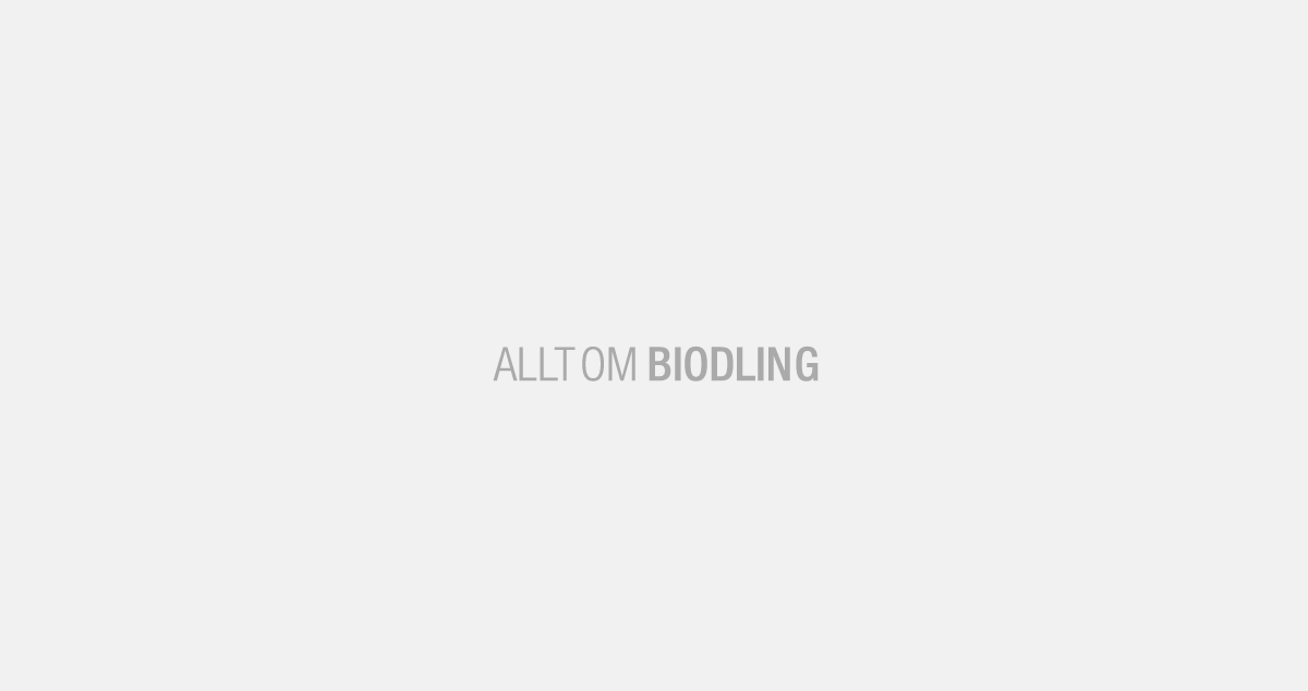 Allt om bin, biodling, pollinering och biprodukter