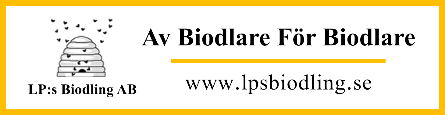 banner-lps-l.png