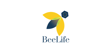 BeeLife