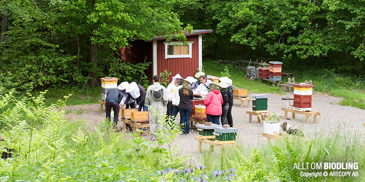 BIodlareförening - BIodlarförening - Biodlare - Biodling