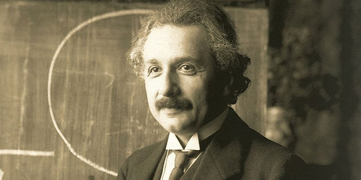 Einstein - Bin - Citat - Källa - Biodling