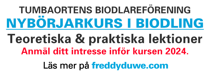 freddyduwe-biodlingskurs.png