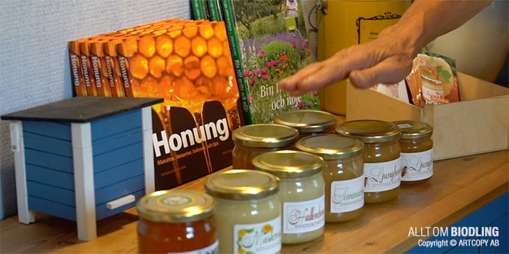 Ympa, röra, tappa, lagra och sälja honung - Biodling