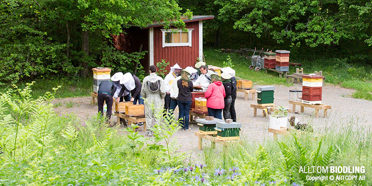 Nybörjarkurs i biodling - Kurs Kurser Biodlare