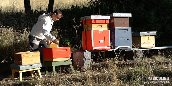 Skattning - Bitömmarebotten - Biodling