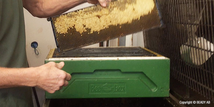 Ursmältning kanderad kristalliserad honung