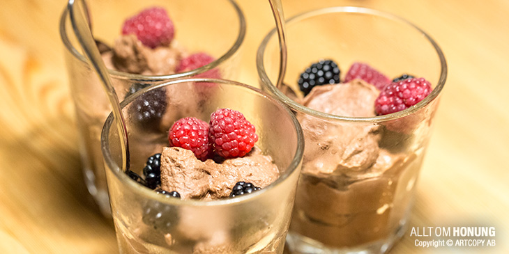 Chokladmousse med honung