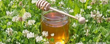 Information om honung