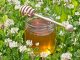 Information om honung
