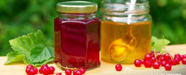 Röda vinbärsgelé med honung Recept | ALLT OM HONUNG