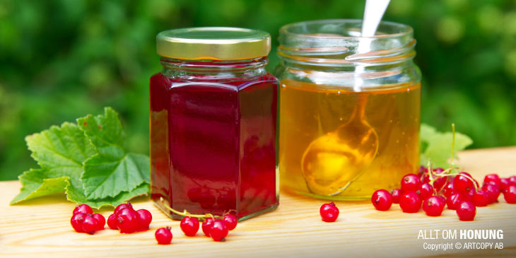 Röda vinbärsgelé med honung Recept | ALLT OM HONUNG