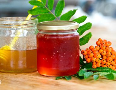 Rönnbärsgelé med honung