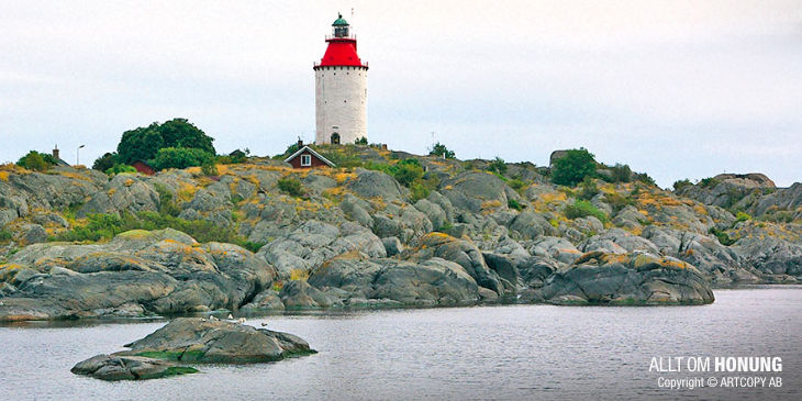 Skärgårdshonung | ALLT OM HONUNG