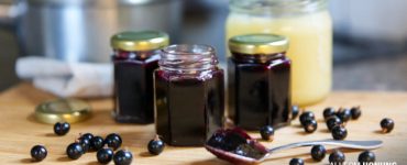 Recept Svarta vinbärsgelé med honung | ALLT OM HONUNG