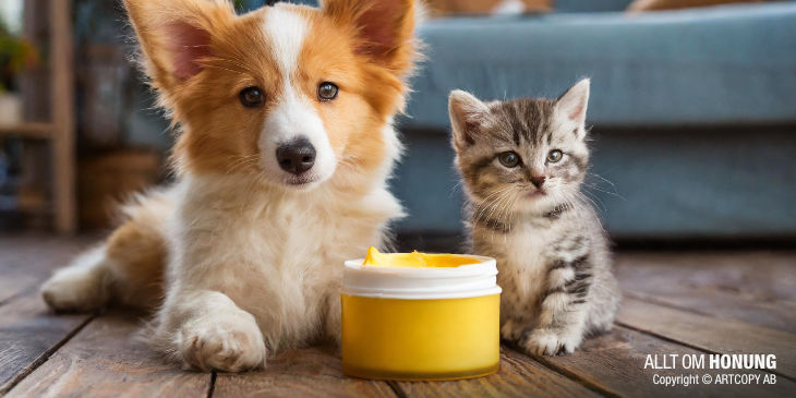 Tassalva med bivax för hund och katt | ALLT OM HONUNG