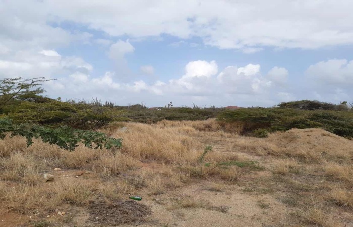 Address not available!, ,Land,For Sale,Sero Janchi ,1256