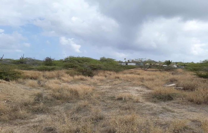 Address not available!, ,Land,For Sale,Sero Janchi ,1256
