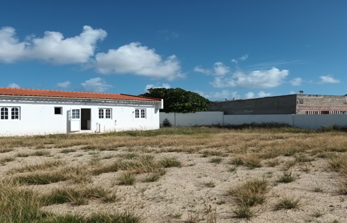 Lucianitastraat 13, Oranjestad, ,Commercial,For Rent,Lucianitastraat,1453