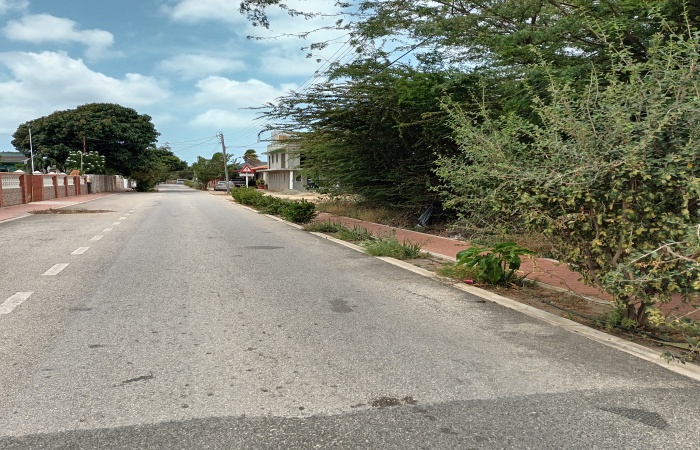 Lucianitastraat, Oranjestad, ,Land,For Sale,Lucianitastraat,1469