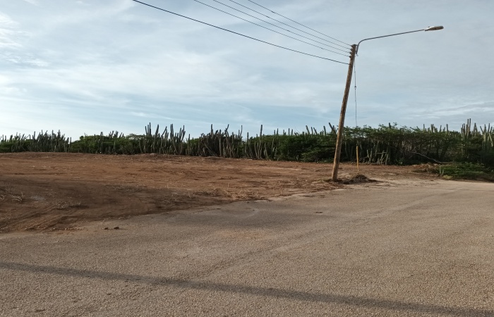 Santa Cruz, ,Land,For Sale,Santa Cruz,1472