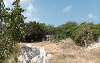 Alto Vista, Aruba, ,Land,For Sale,Alto Vista, Aruba,1528