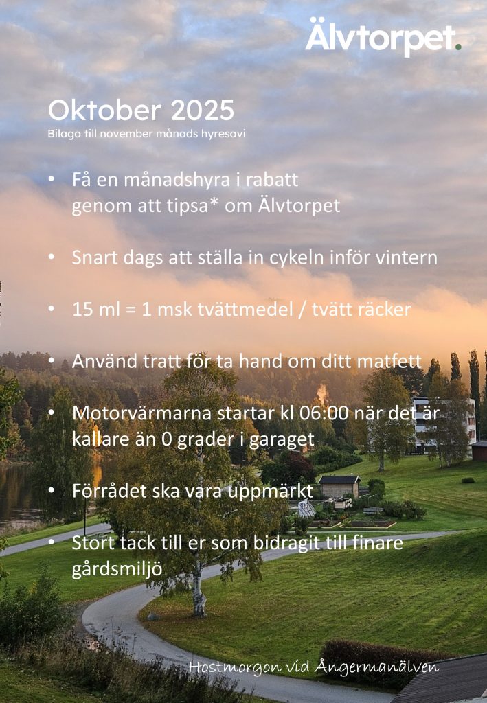 Vid Ångermanälven i Sollefteå en höstmorgon 2025