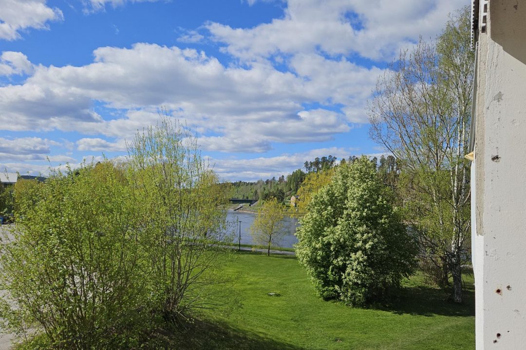 19S. D17 #1103, 3 Rok, utsikt från balkong maj