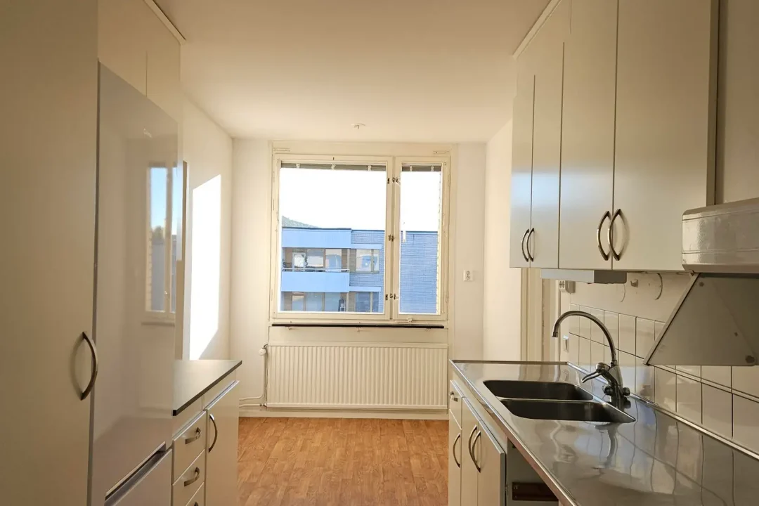 2.D21B #1301, 3 Rok, kök