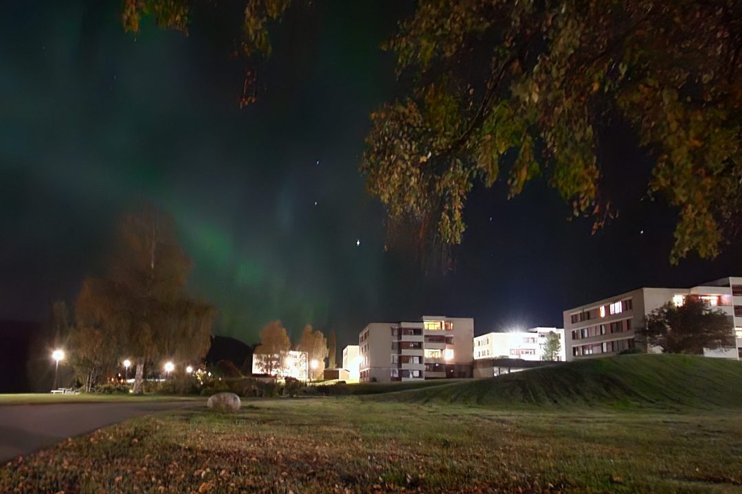 20251001_Norrsken L
