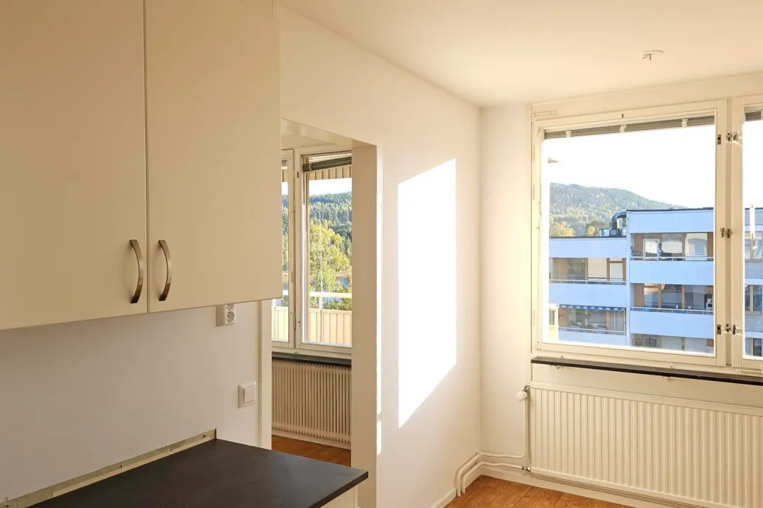 2B.D21B #1301, 3 Rok, kök 2