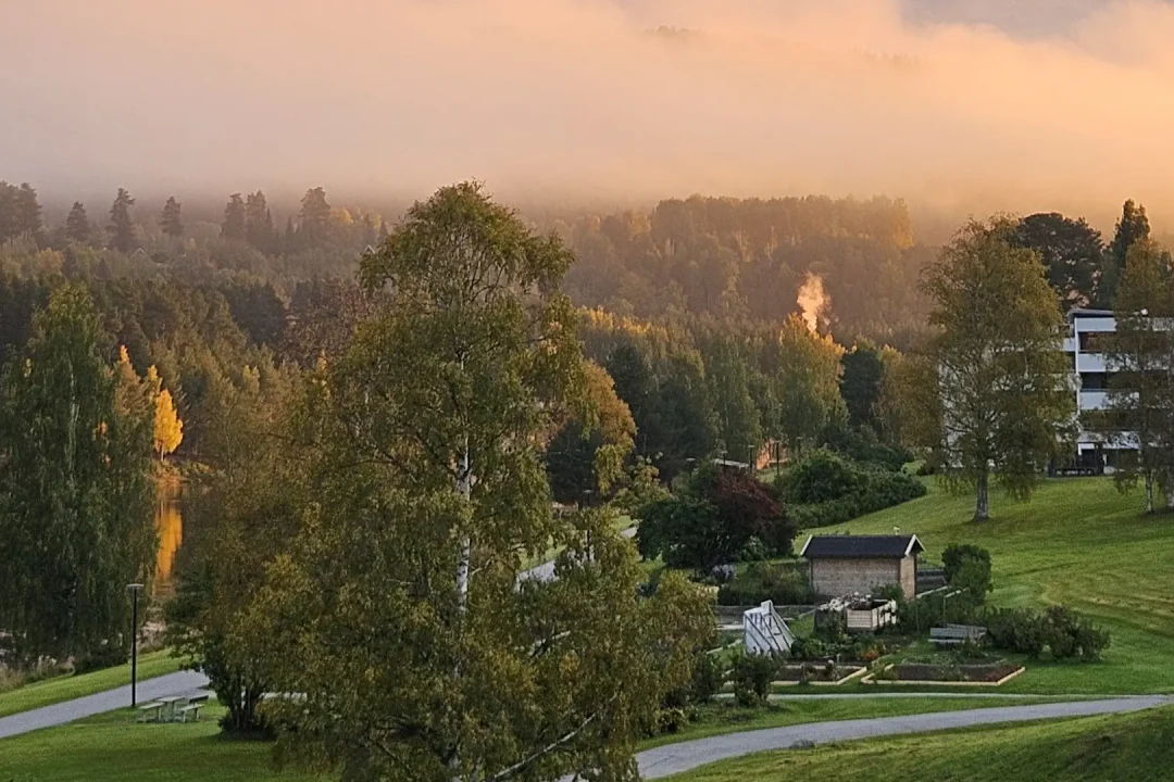 Septembermorgon mot odlingslotterna 16-9