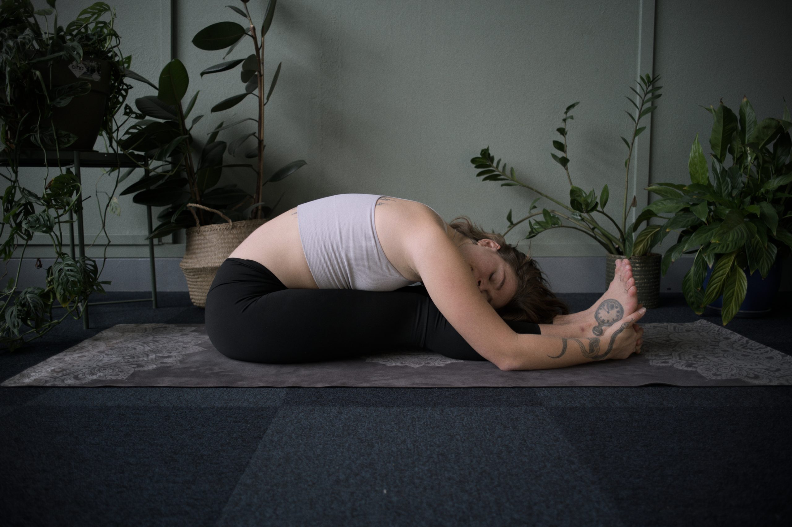yoga soft yoga forward fold
