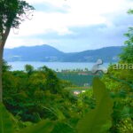 10 Rai Patong Sea View Land For Sale in Phuket Thailand