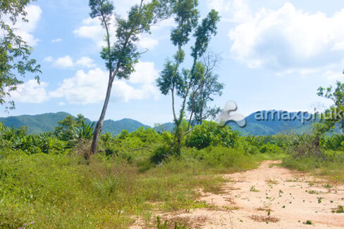 62.5-rai-land-for-sale-in-thalang-phuket-2916-11