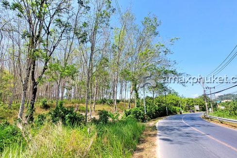 08-commercial-land-plot-in-sakhu-for-sale-6030