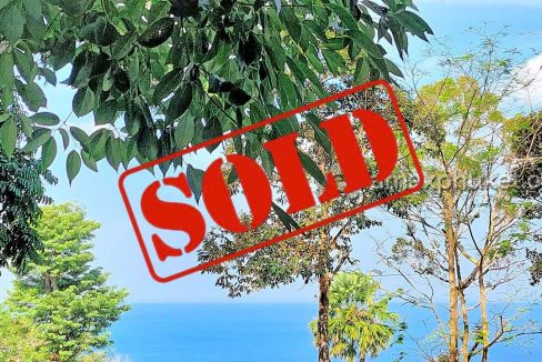 01 6 rai surin sea view land for sale 6024 sold | Amax Phuket | Real Estate & Property For Sale